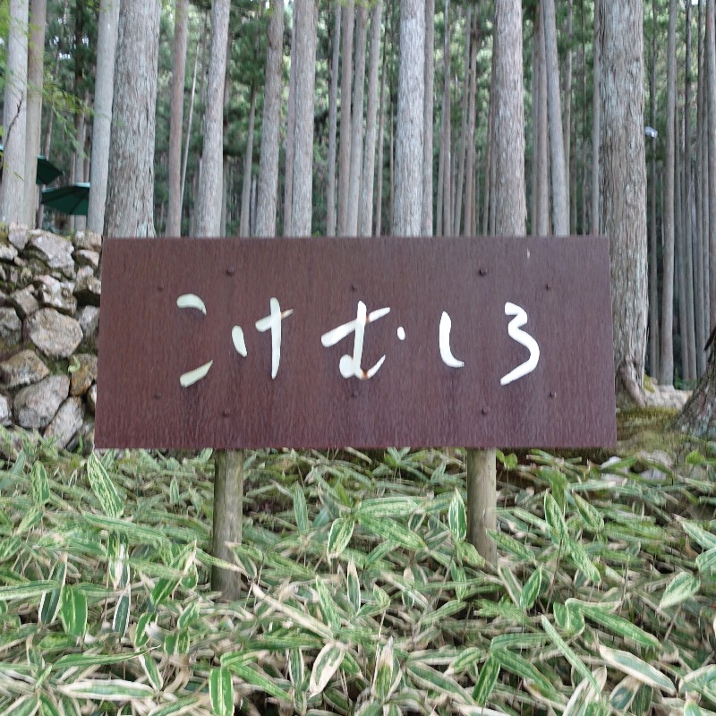 『苔むしろ』の看板