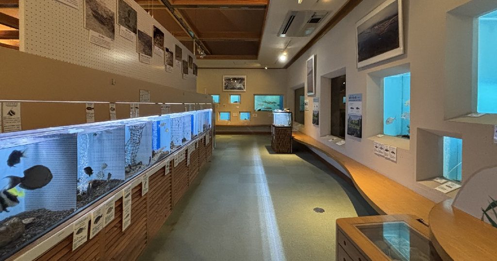 館内の平坦な様子