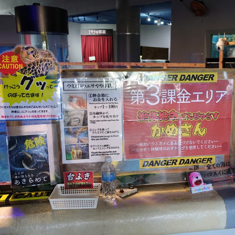 ウミガメへの餌やり課金エリア