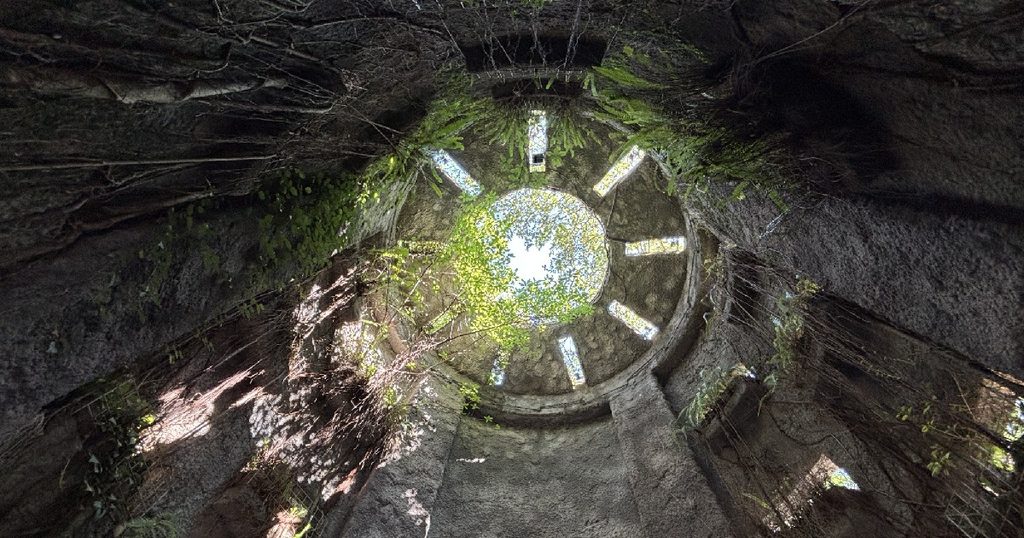 温室を見上げた写真
