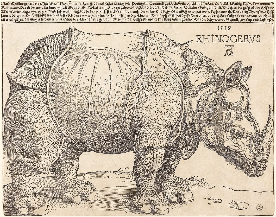 アルブレヒト・デューラー『サイ』(1515年